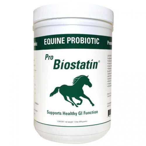 ProBiostatin 1 lb.